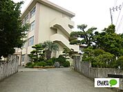 小学校「小田原市立報徳小学校まで873m」
