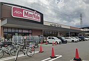 その他「マックスバリュ南足柄岩原店まで210m」