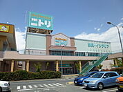 ホームセンター「ニトリ小田原店まで1007m」
