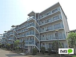 物件画像 船橋サンハイツ2号棟