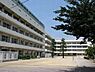 周辺：中学校「市川市立第五中学校まで817m」