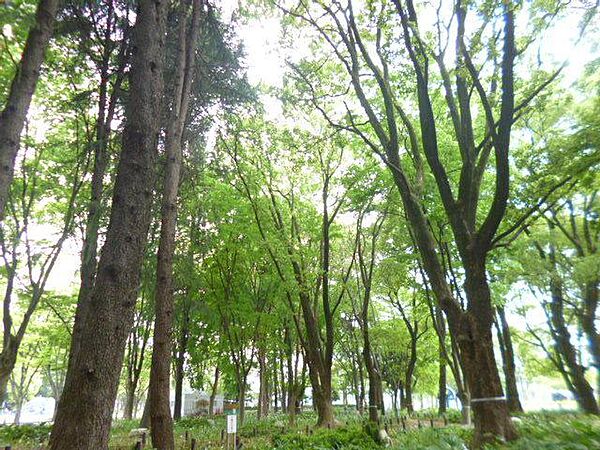 愛知県名古屋市中区金山１丁目(賃貸マンション1K・6階・40.05㎡)の写真 その21