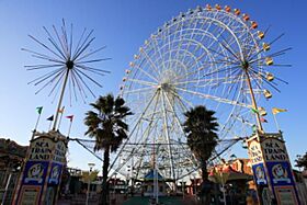 愛知県名古屋市港区善南町7番（賃貸マンション1LDK・3階・42.25㎡） その30