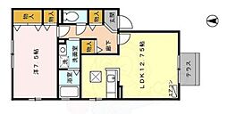 ウィルステージ 1階/-