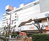 ニトリ近鉄八尾駅前店（506m）