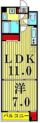 スアヴィス舎人 5階1LDKの間取り