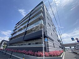 ホーリーホック