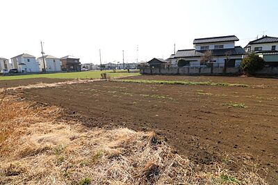 外観：2025年1月撮影/東武東上線「みずほ台」駅徒歩22分　季節の移ろいを身近に感じられる、自然豊かな住環境