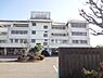 周辺：【中学校】佐野市立南中学校まで950ｍ