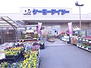 ケーヨーD2 川口一丁目店（437m）