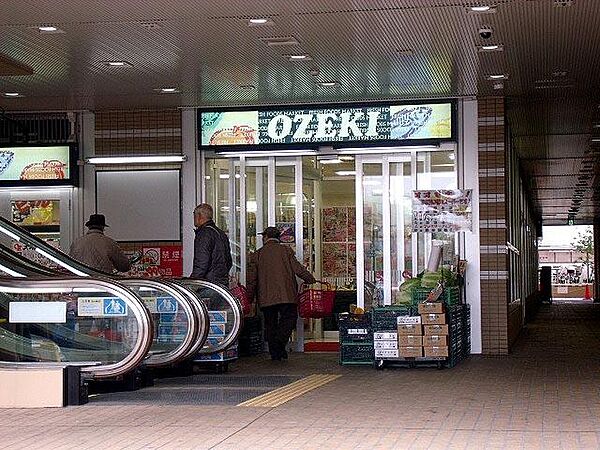 画像30:【スーパー】スーパーオオゼキ市川店まで647ｍ