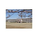 かすみがうら市立下稲吉東小学校