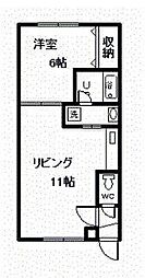 🉐敷金礼金0円！🉐クアトロアパルテ