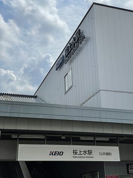 画像25:ピカソ桜上水店(ショッピングセンター)まで164m