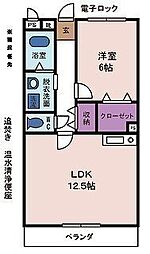 アヴェニール 1LDKの間取図画像