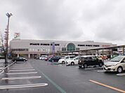 イトーヨーカドー甲府昭和店381m