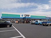 DCMくろがねや国母店1156m