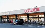 リブレ京成新柴又店 徒歩4分。 300m