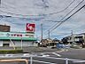 周辺：スギ薬局住吉店まで488m　徒歩約7分