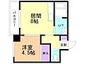ヴィザージュ菊水4階3.9万円