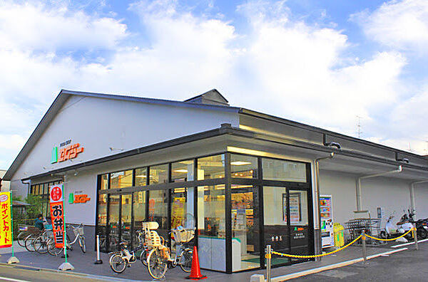 画像27:【スーパー】FOOD SHOP(フードショップ)エムジー 鞍馬口店まで403ｍ