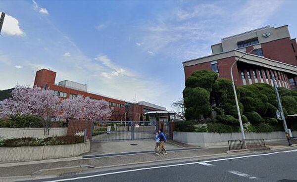 画像24:【大学】京都薬科大学まで522ｍ