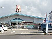 コメリハード＆グリーン宇都宮山本店 1315m