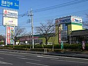 ヤマダ電機 2017m