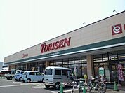とりせん 763m
