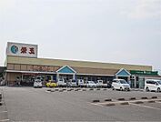 栄玉(650m)