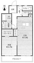 住吉ニューライフ 1LDKの間取図画像