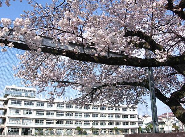 画像24:【中学校】武蔵野市立 第一中学校まで1101ｍ