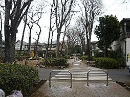 【公園】本村公園まで166ｍ