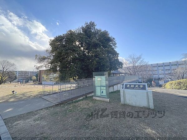 ハーモニーテラス京都石田 202｜京都府京都市伏見区醍醐東合場町(賃貸アパート1K・2階・20.67㎡)の写真 その12