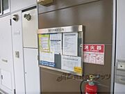 掲示板