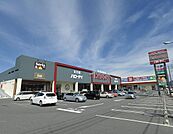 ハローデイ綾羅木店(1、011m)
