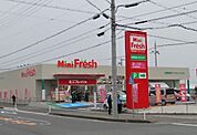 ミニフレッシュ大江店（4221m）