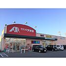 ドラックストア「クスリのアオキ稲里店まで895ｍ」
