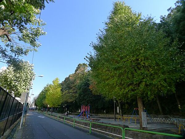 画像18:【公園】志村城山公園まで504ｍ