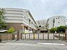 周辺：朝霞市立朝霞第一中学校 （徒歩17分） 1310m