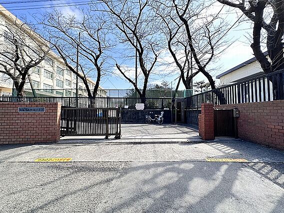 新林小学校、、...