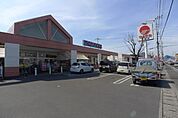 マルナカ円座店(スーパー)まで861m