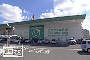 ザグザグ栗林店(ドラッグストア)まで636m
