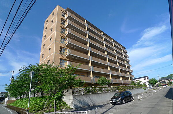 アストーレ青柳 803｜高知県高知市青柳町(賃貸マンション2LDK・8階・67.23㎡)の写真 その1