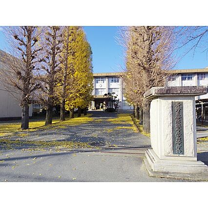 メゾンドゥこづち_周辺_3