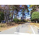 中学校「伊那市立西箕輪中学校まで987ｍ」