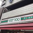 ローソンストア100 LS上池袋店（161m）