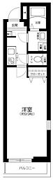 メルクリオ東川口 2階/-