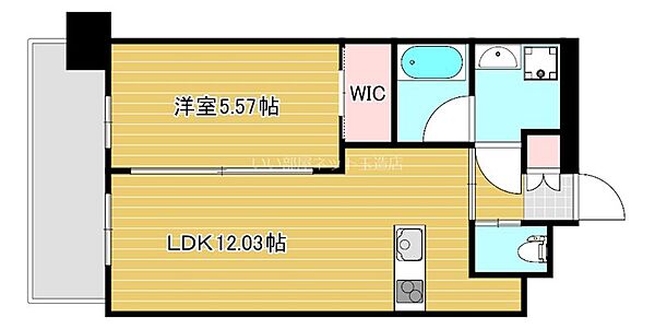 大阪府大阪市東成区中道３丁目(賃貸マンション1LDK・9階・39.71㎡)の写真 その1