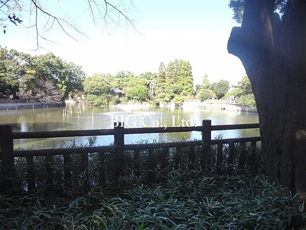 ステージファースト祐天寺 ｜東京都目黒区中町2丁目(賃貸マンション1K・8階・20.91㎡)の写真 その10